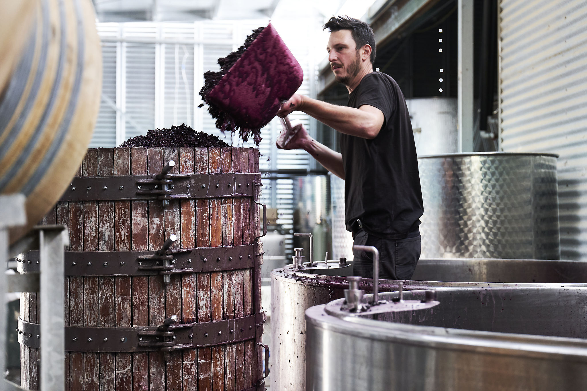 Rutherglen SCION Winemaker Durif Rutherglen SCION Winemaker Durif